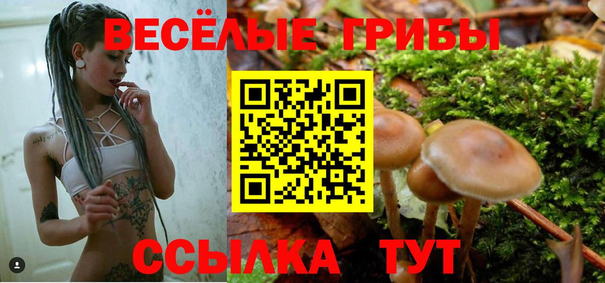 Белореченск  где продают наркотики  Вход с VPN  Галлюциногенные грибы ЛСД 